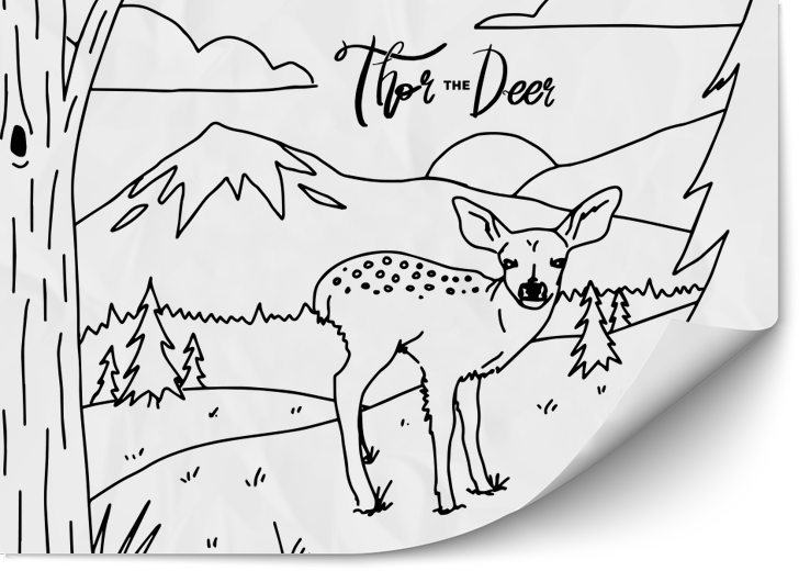 sketch-deer